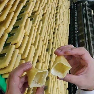 Commerciële tofu-machine en Lucky Bag productielijn voor restaurants