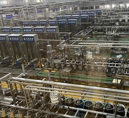 Vervoermachine voor het vormen van doosjes/bonenkoorts Verwerking State-of-the-art technologie